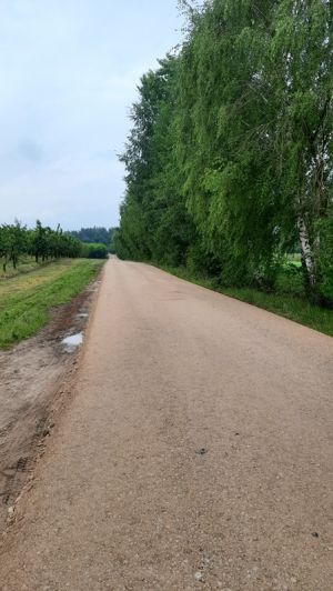 Przebudowa dróg w miejscowościach Bujały i Rokitnica-Kąty.