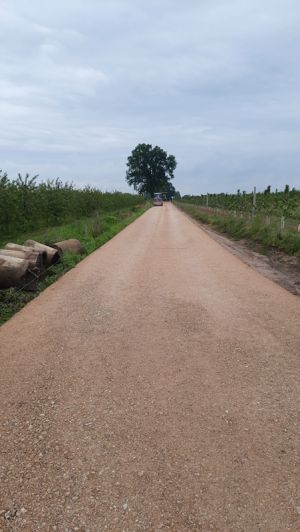 Przebudowa dróg w miejscowościach Bujały i Rokitnica-Kąty.