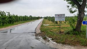 Przebudowa dróg w miejscowościach Bujały i Rokitnica-Kąty.