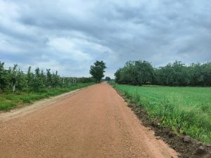 Przebudowa drogi w m. Gogolin