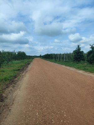 Przebudowa drogi w m. Gogolin