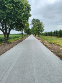 Droga w miejscowości Nowe Lutobory - Kaleń. Po prawej stronie sad jabłoniowy w oddali drzewa robinii akacjowej. Po lewej...