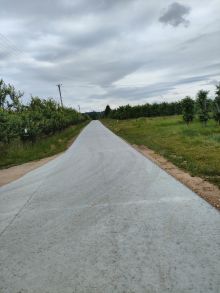 Droga w miejscowości Trębaczew. Po prawej stronie w oddali sad jabłoniowy. Po lewej stronie sad śliwowy, w oddali słupy...