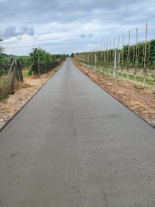 Droga w miejscowości Trębaczew. Po prawej stronie widoczny młody sad jabłoniowy. Po lewej stronie ogrodzenie z siatki...